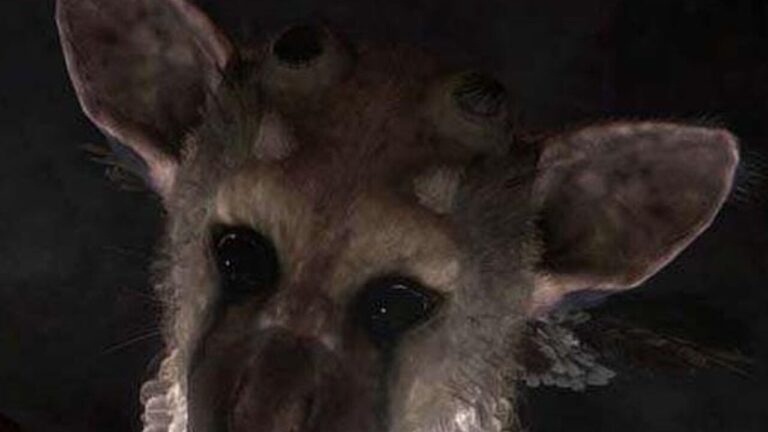 The Last Guardian and Team Ico Collection get delayed