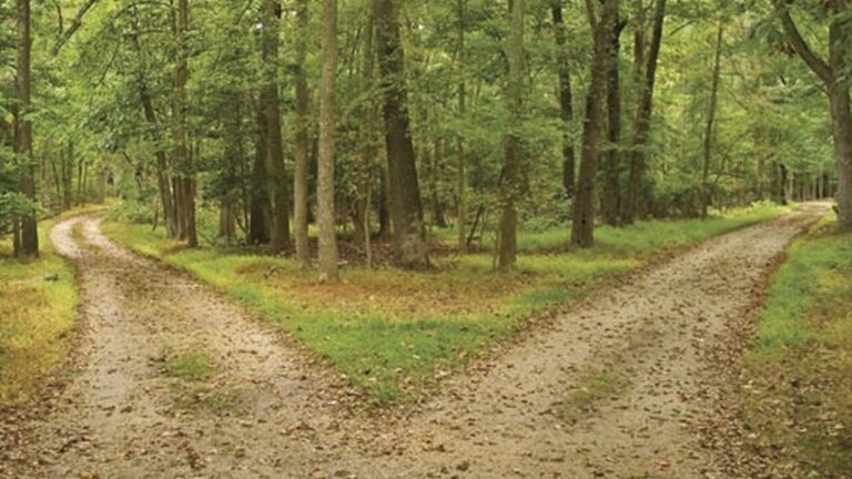 When Did Choice Become a Bad Thing?