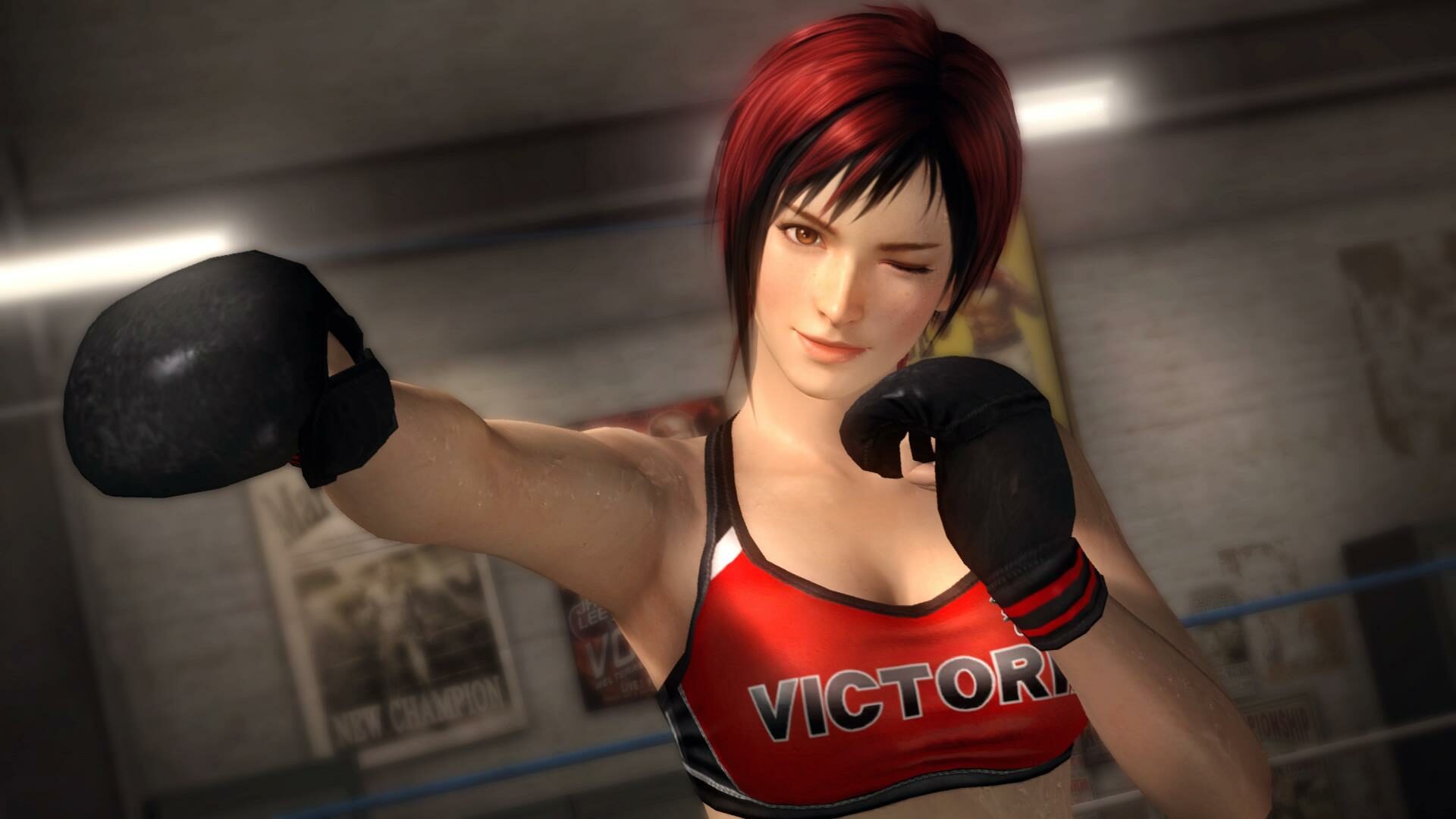 Dead Or Alive 5 (Ps3) Review