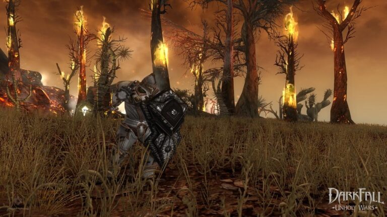 Steam adds subscription model, Darkfall: Unholy Wars first to use it