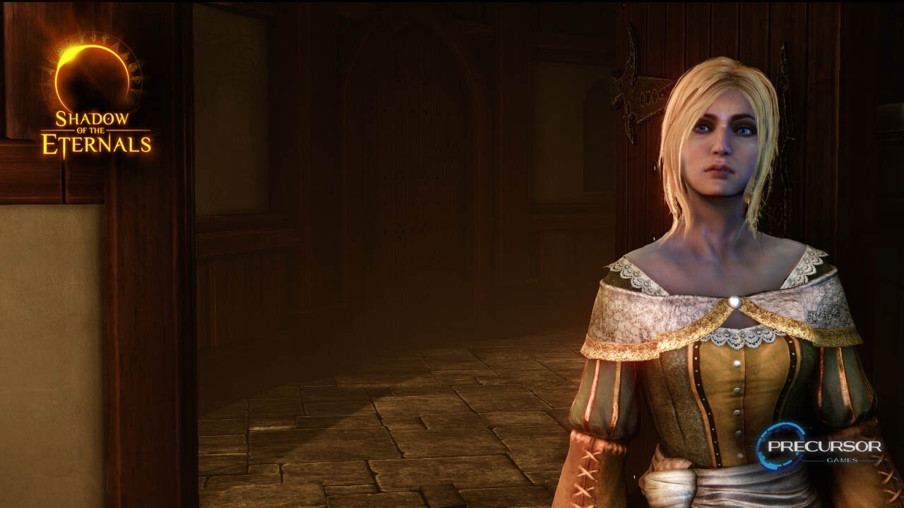 Shadow of Eternals Dual Crowdfunding Campaign ‘Temporarily’ Halted - 2013-06-05 14:29:40