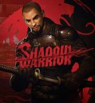 Shadow Warrior (PC) Review 4