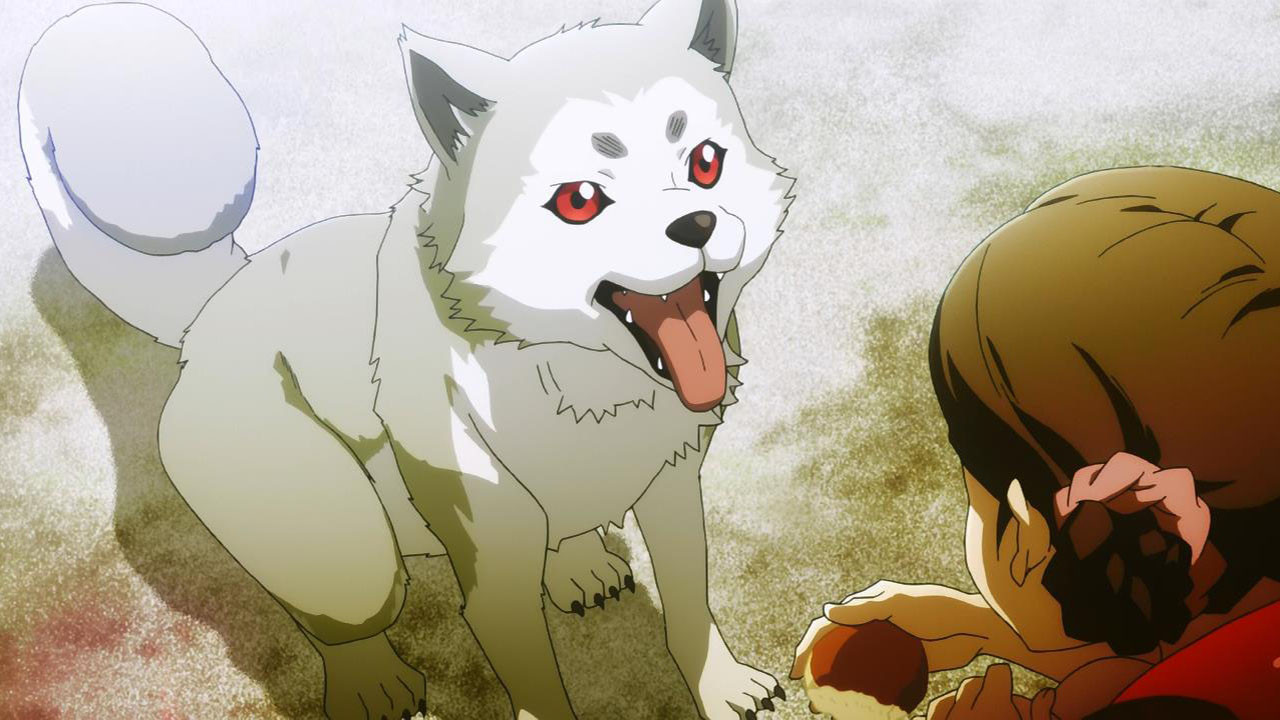 Top 5 Dogs To Watch In Gaming Top 5 Dogs To Watch In Gaming 10
