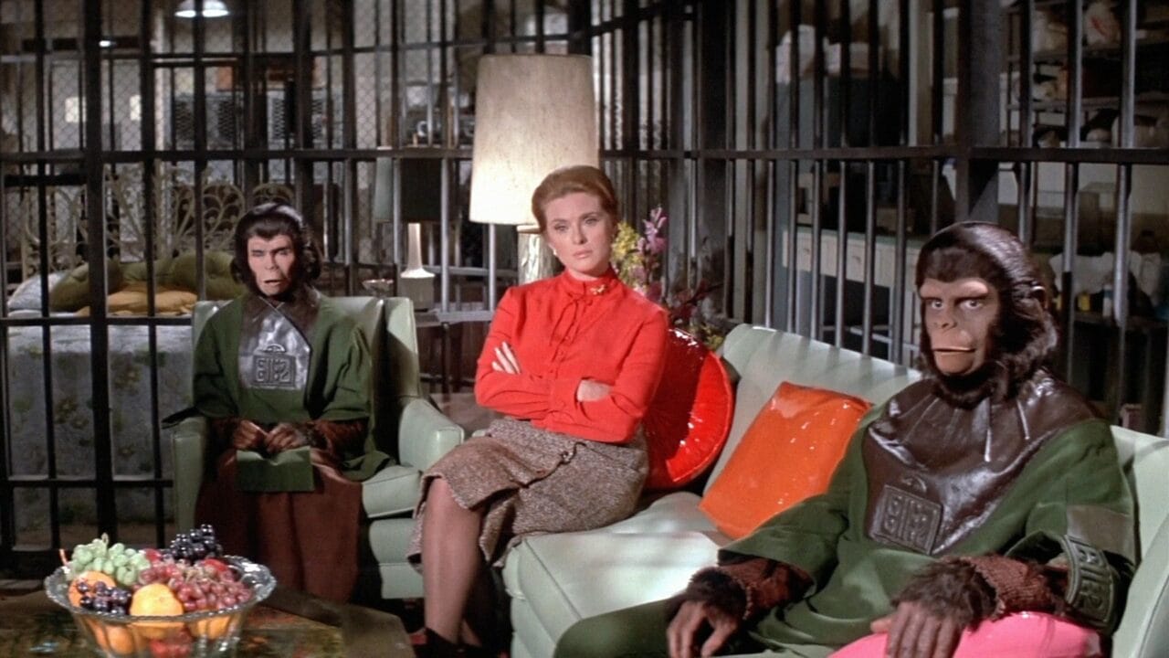 The Ranking Of The Apes 5