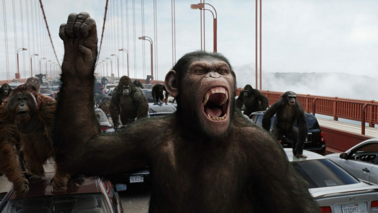The Ranking Of The Apes
