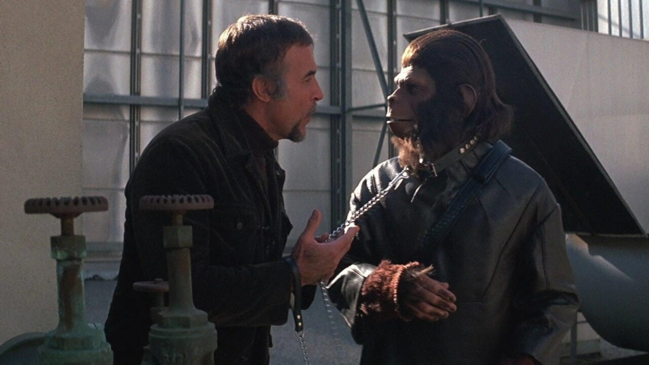 The Ranking Of The Apes