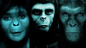 The Ranking Of The Apes 10