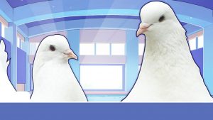 Hatoful Boyfriend (PC) Review 1