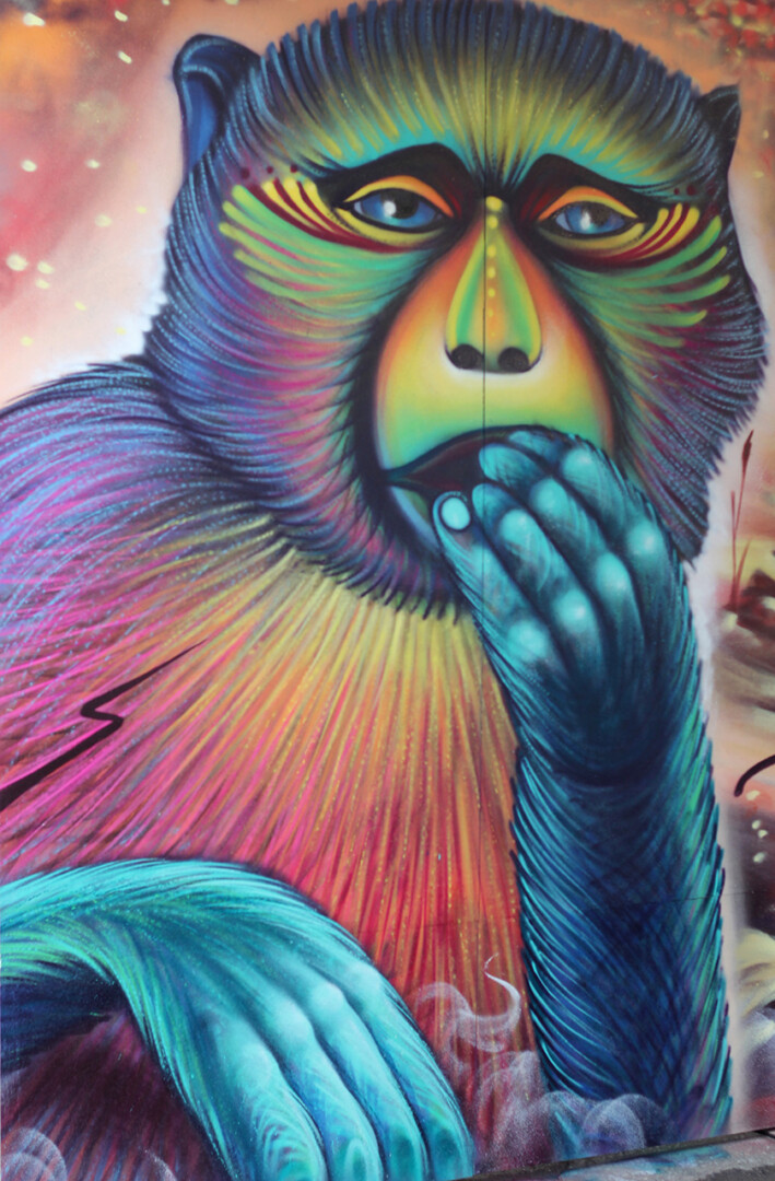Street Art And Far Cry: An Interview With Nick Sweetman Street Art And Far Cry: An Interview With Nick Sweetman 3