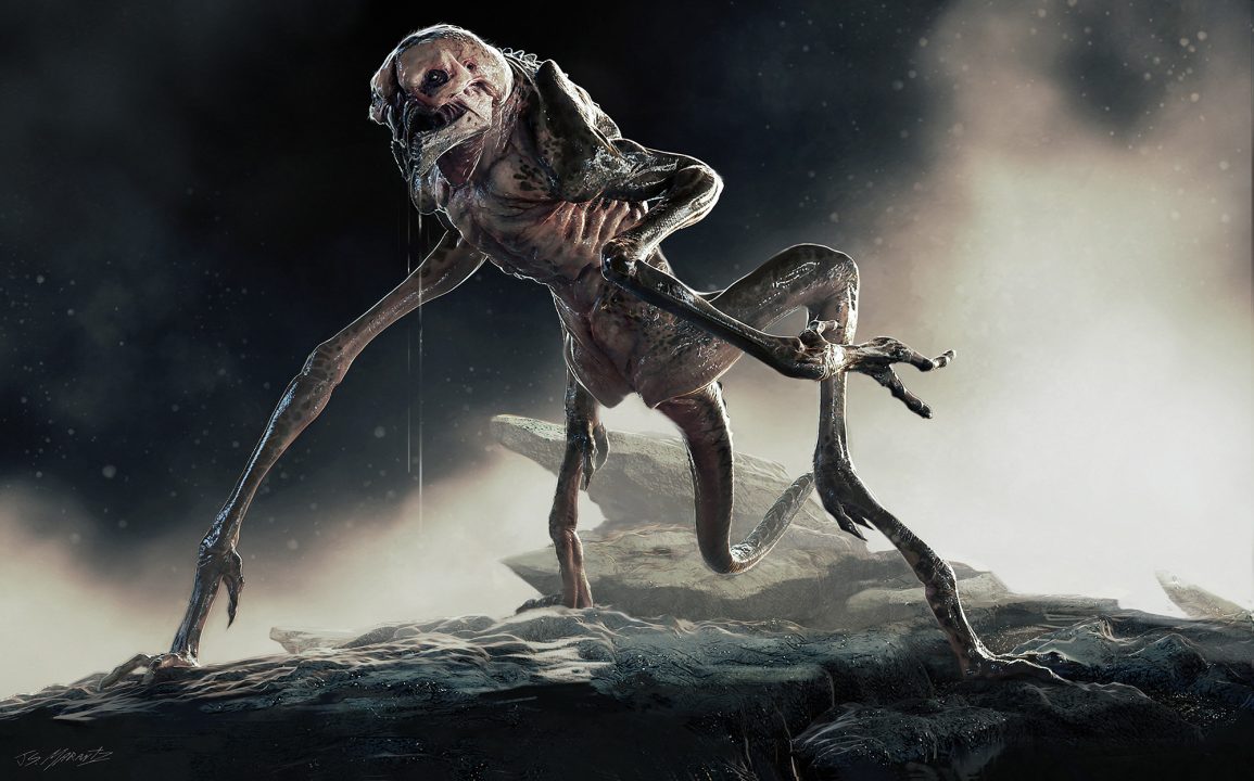  Jerad Marantz