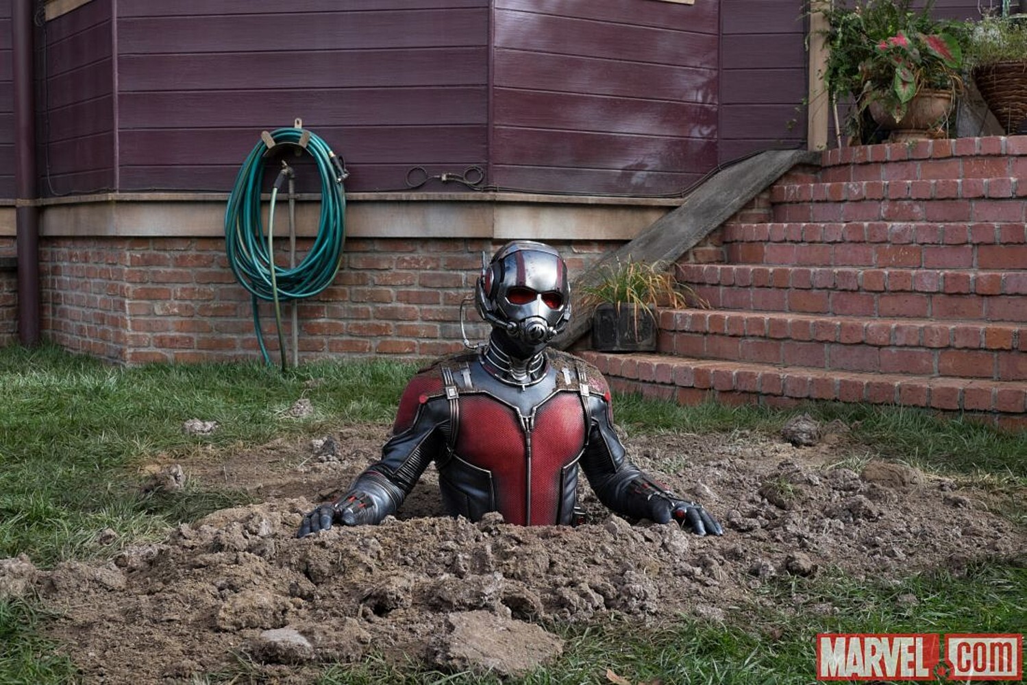 Antmaninsert7
