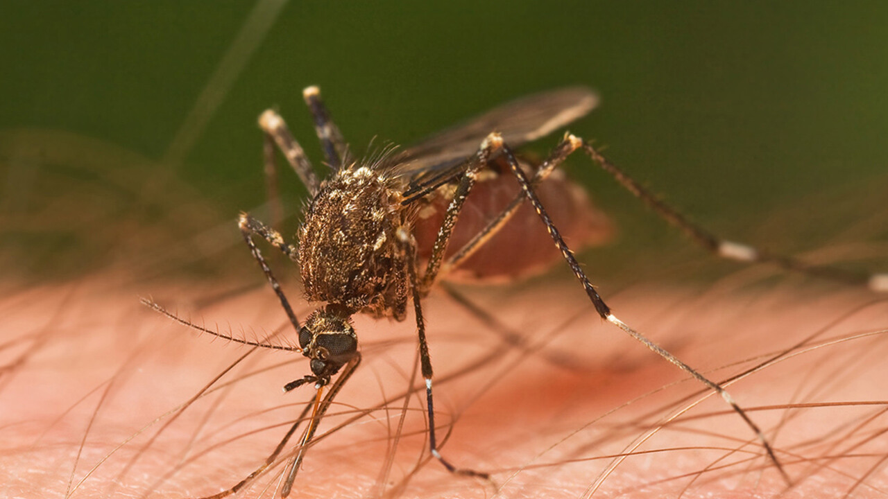 Fighting Malaria Through Videogames 4