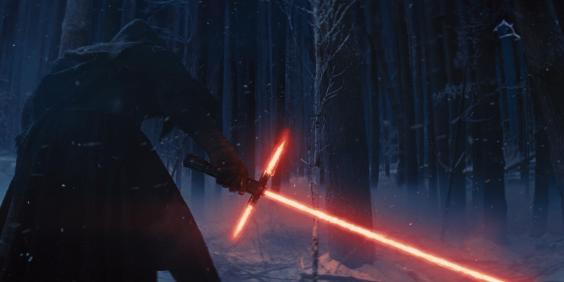 disneystarwarsinsert2