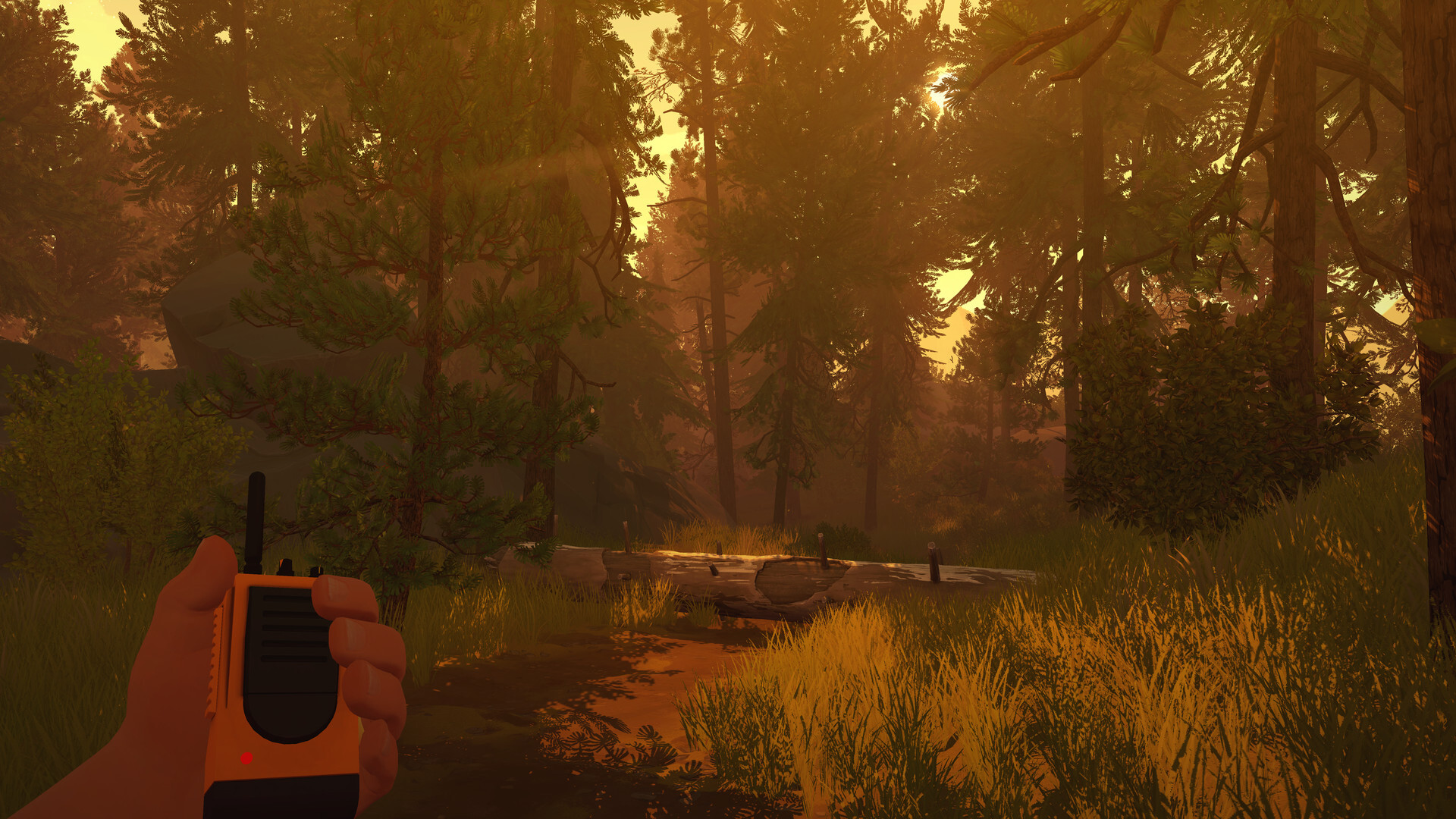 firewatch insert 2