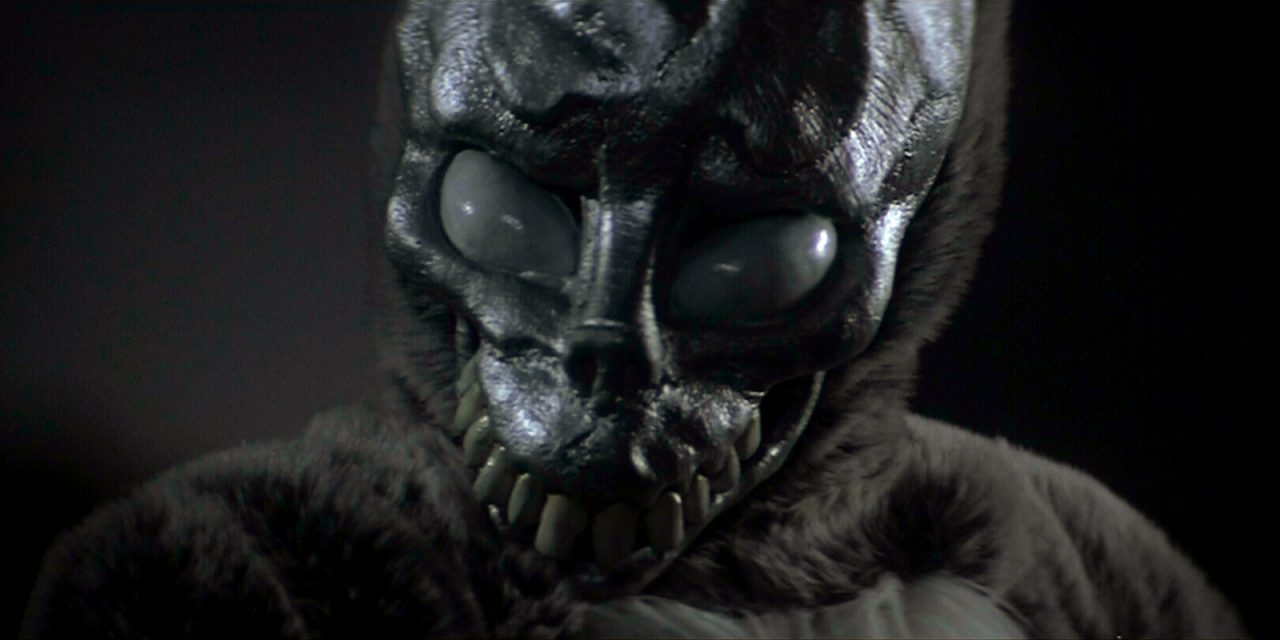 donniedarko