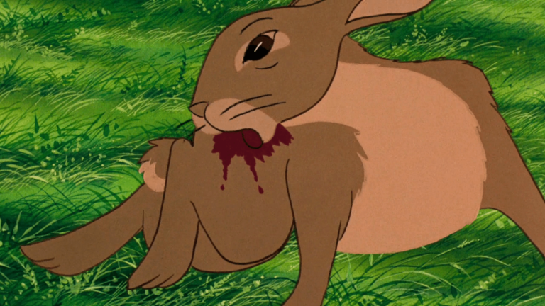 Top 10 Most Frightening Rabbit Horror Movies
