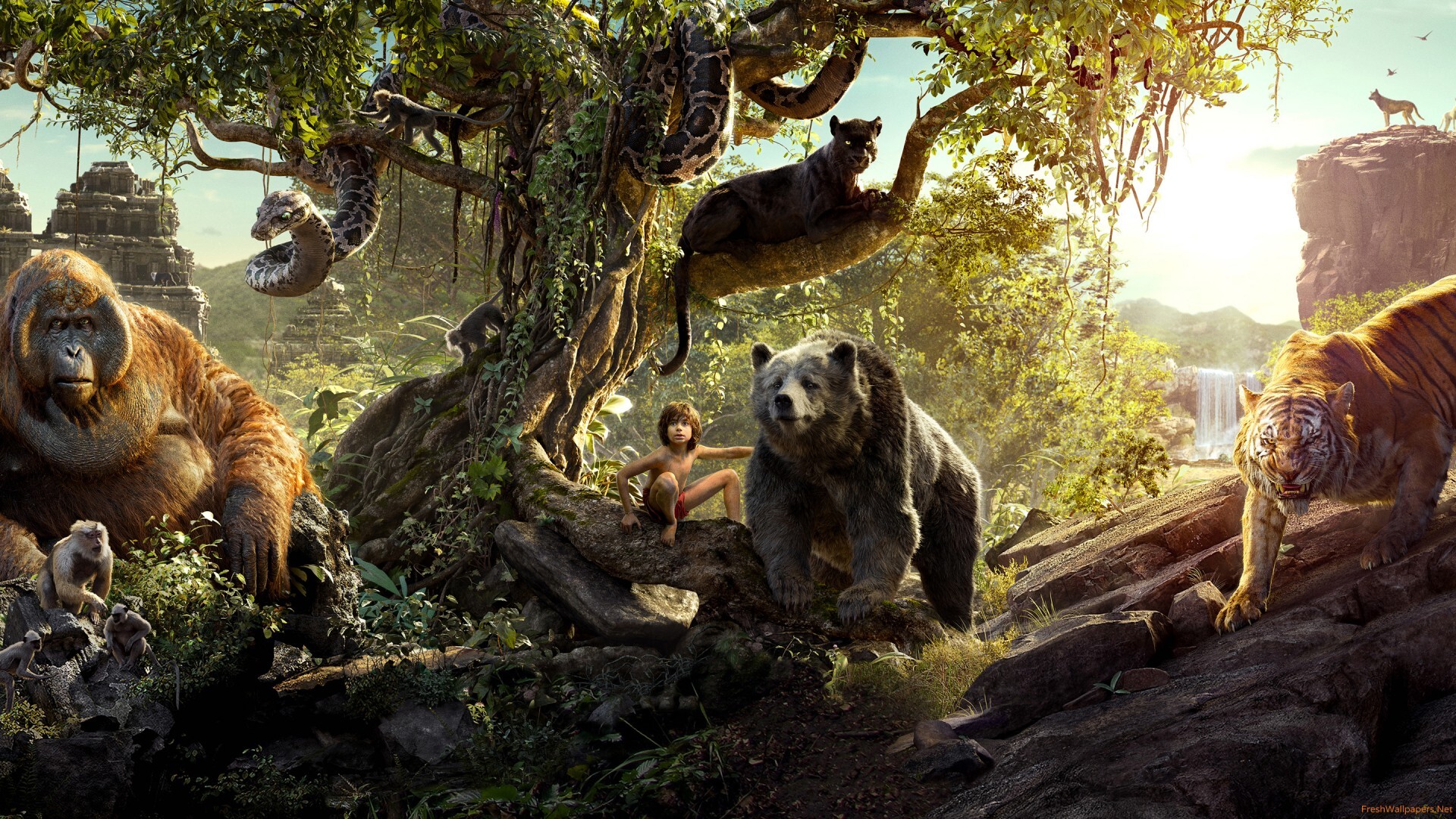 The Jungle Book (Movie) Review