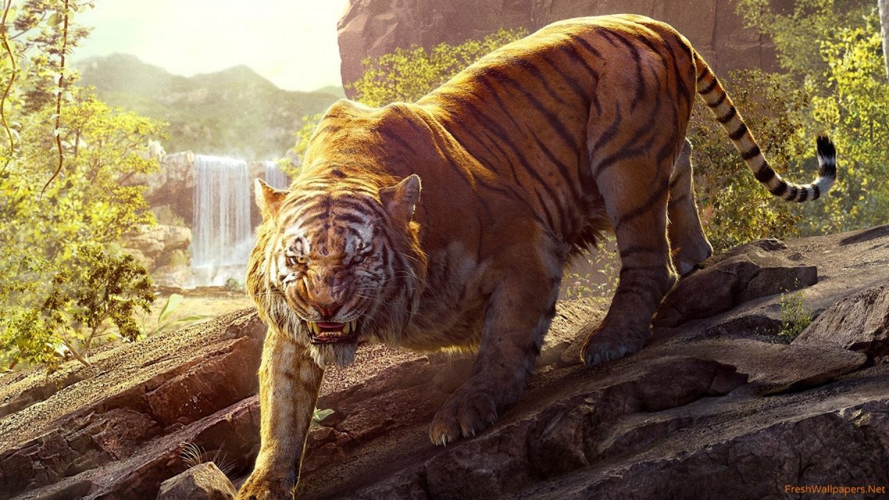 The Jungle Book (2016) Review 10