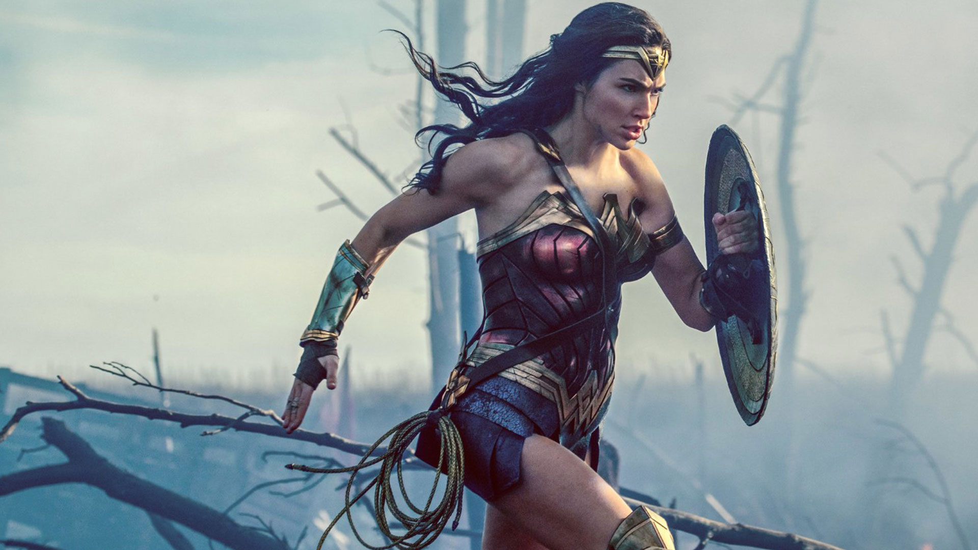 Wonder Woman (2017) Review 7