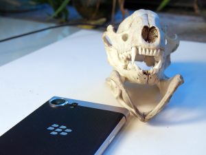 Blackberry Keyone Smartphone Review - Hits The Right Buttons 14