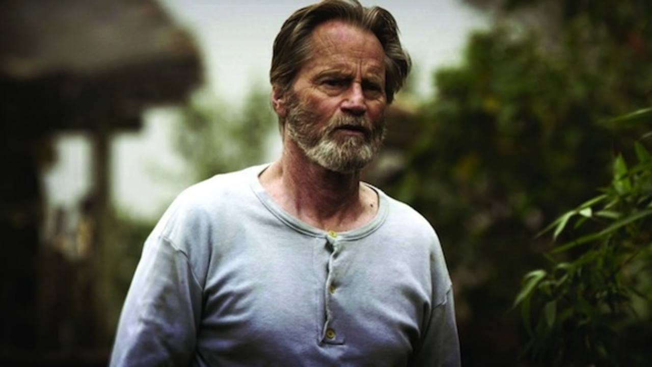 Sam Shepard, Playwright and Actor, Passes Away at 73