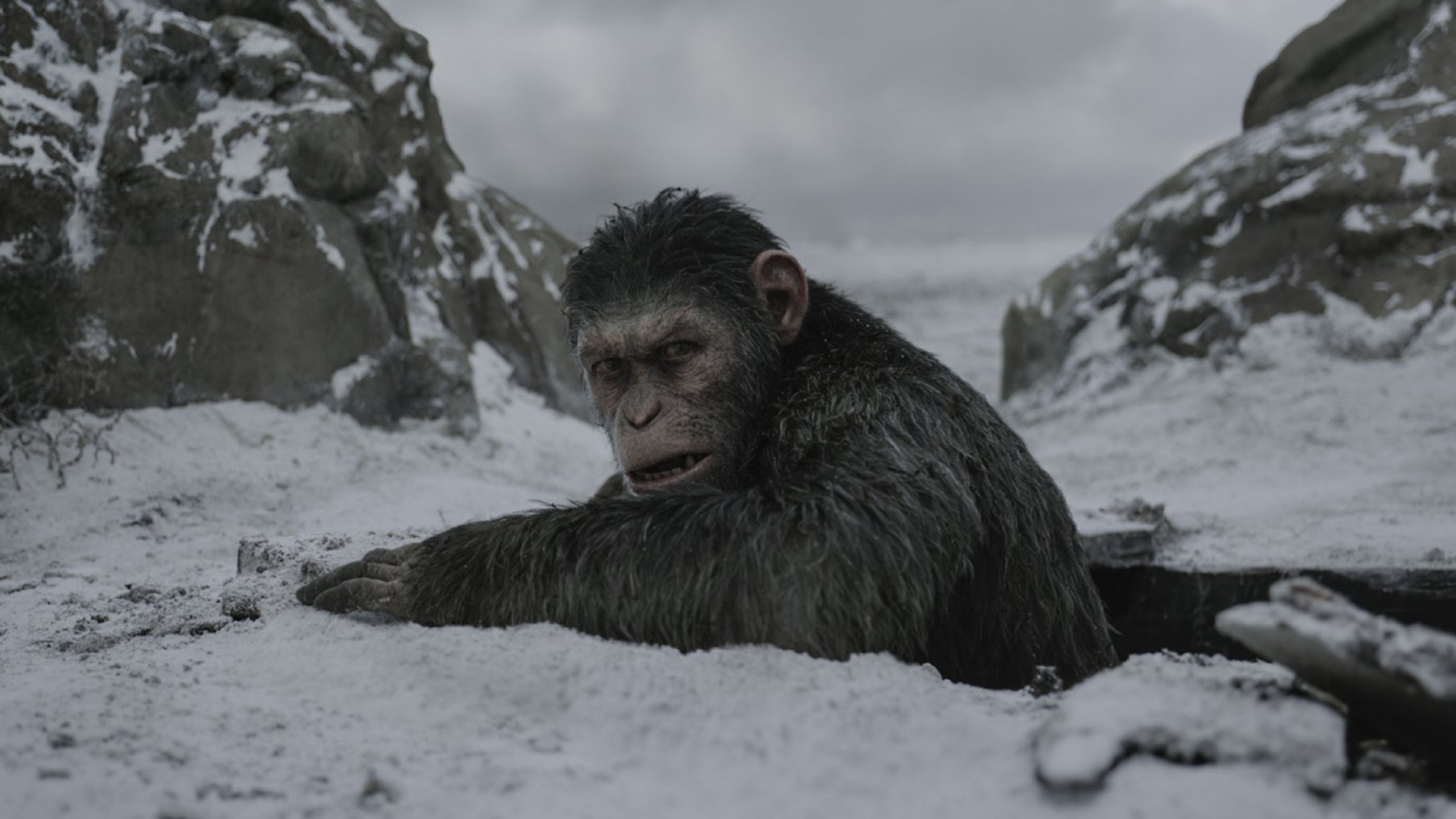 War For The Planet Of The Apes (Movie) Review 3
