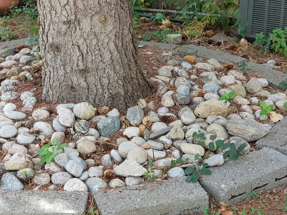 Samsung Galaxy Note 8 (Smartphone) - A Long Awaited Comeback 11