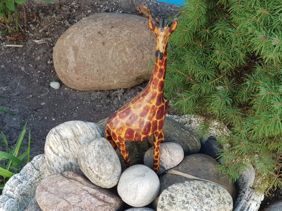 Samsung Galaxy Note 8 (Smartphone) - A Long Awaited Comeback 19