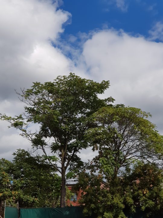 Samsung Galaxy Note 8 (Smartphone) - A Long Awaited Comeback 9