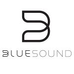 Bluesound Pulse Mini Review - HD Audio for Everyone