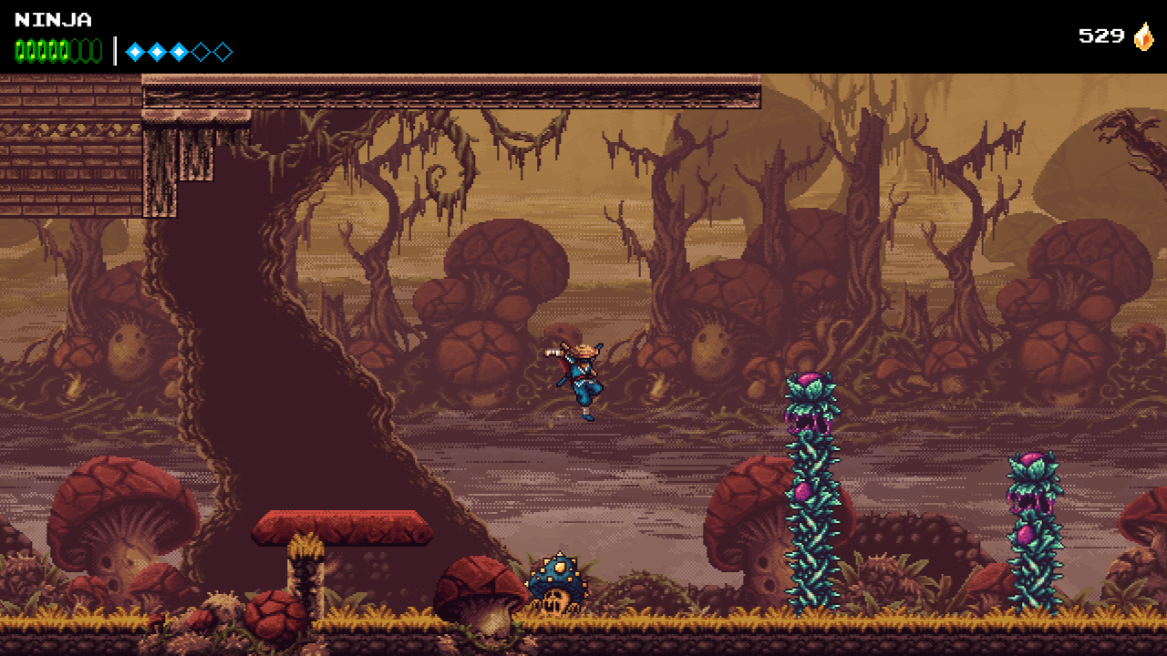 The Messenger (Pc) Review 7