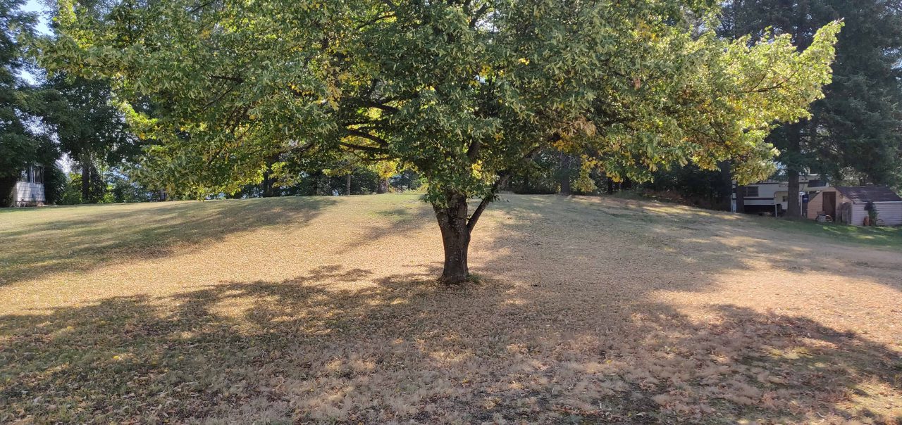 Oneplus 6 (Smartphone) Review 12