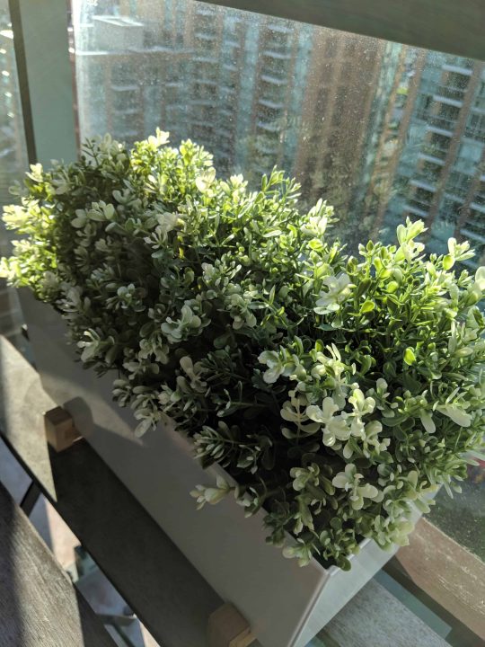 Google Pixel 3 Xl (Smartphone) Review 7