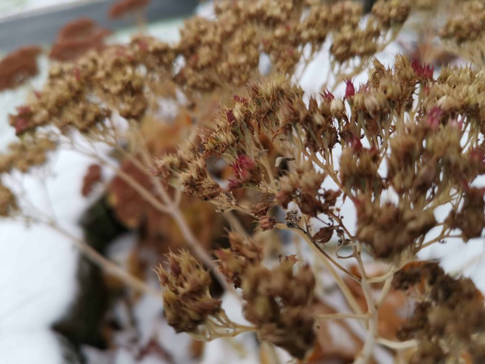 Huawei Mate 20 Pro (Smartphone) Review 13