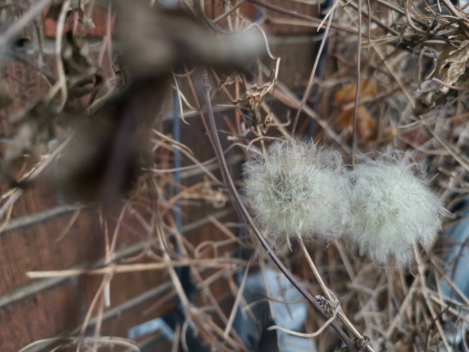 Huawei Mate 20 Pro (Smartphone) Review 16