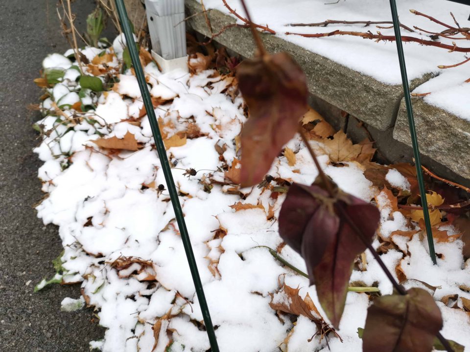 Huawei Mate 20 Pro (Smartphone) Review 17