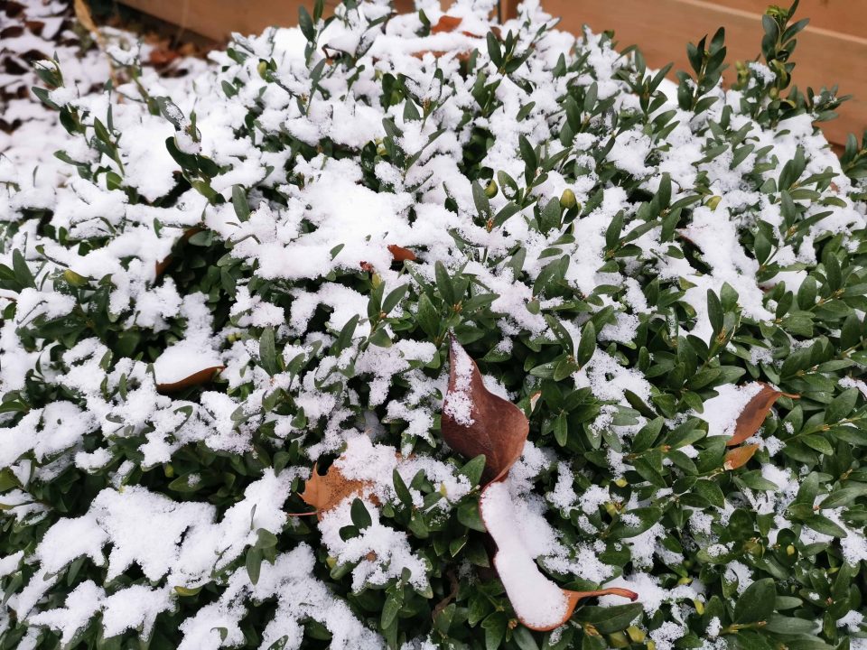 Huawei Mate 20 Pro (Smartphone) Review 10