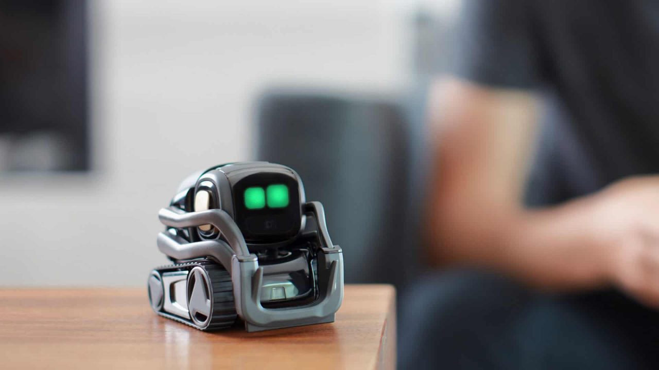 Anki Vector Review 3