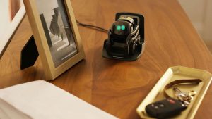 Anki Vector Review