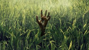 Netflix and Stephen King’s In The Tall Grass Releases October