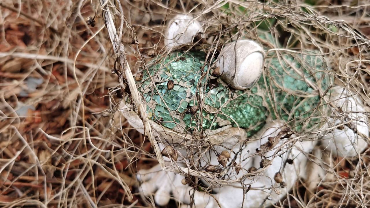 Huawei Mate 30 Pro (Smartphone) Review 5