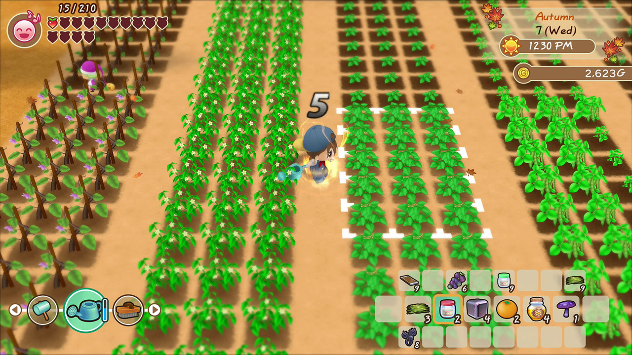 Story of Seasons: Friends of Mineral Town Review