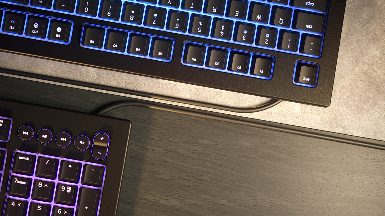 Razer Cynosa V2 Review 1