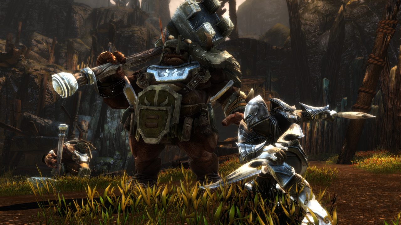 Kingdoms of Amalur: Re-Reckoning Review 7