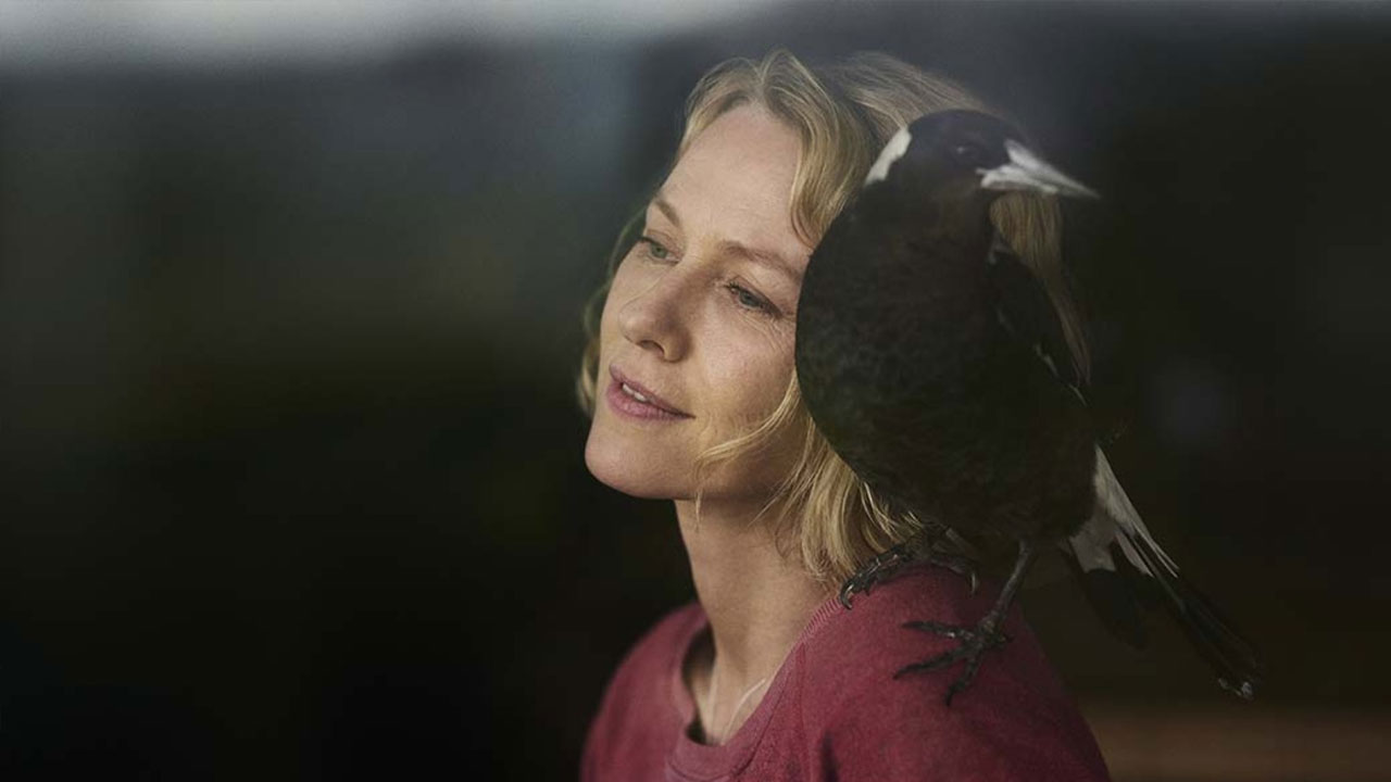 TIFF 2020 - Penguin Bloom Review 6