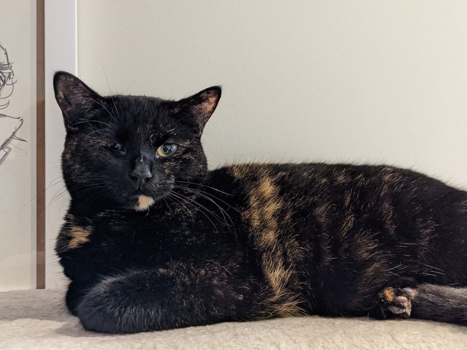 Pxl 20200915 071515876.Portrait 02.Original