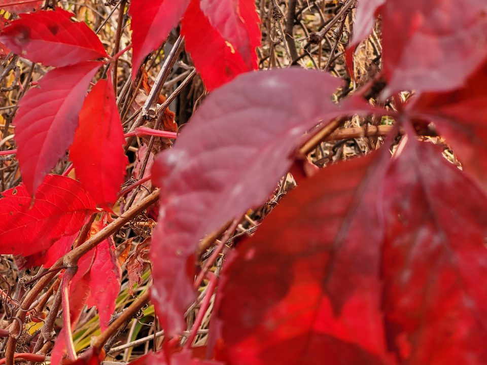 Samsung Galaxy S20 Fe Phone Review 6