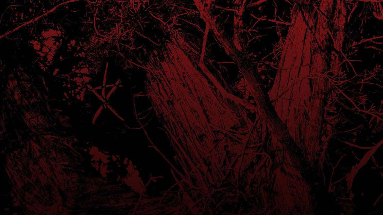 Hunt A Killer: Blair Witch Tabletop Review