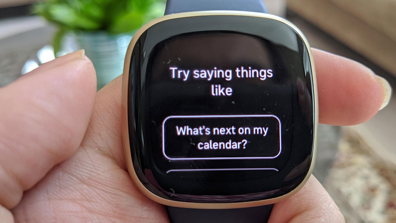 Fitbit Versa 3 Smartwatch Review 4