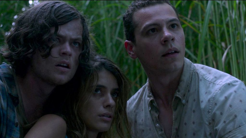 In The Tall Grass (2019) Review 5